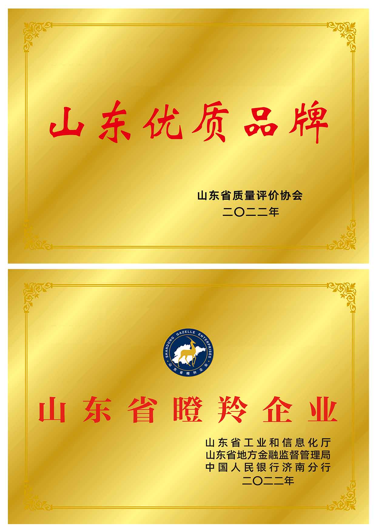 Certificate-8